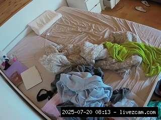 Gay Male Models, Hd, Voyeur, Sexwebcam, Pov, Julmodels House, Hidden Cam, Hidden, Flashing, .