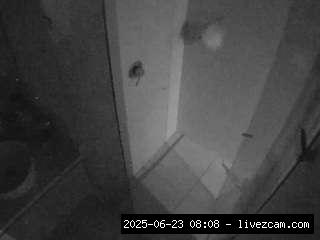 Dominicanpoison Webcam, Hd, Voyeur, Shower, Sexwebcam, Pov, Hidden Cam, Hidden, Flashing, Flash, Am.