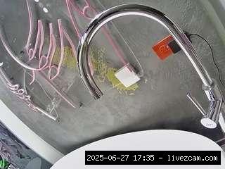 Vixenp Cam Videos, Hd, Voyeur, Sexwebcam, Pov, Hidden Cam, Hidden, Flashing, Flash, Control, B.
