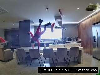 Web Teen Cams, Hd, Young Adult, Voyeur, Teen 18, Sexwebcam, Pov, No Drinking, Hidden Cam, .