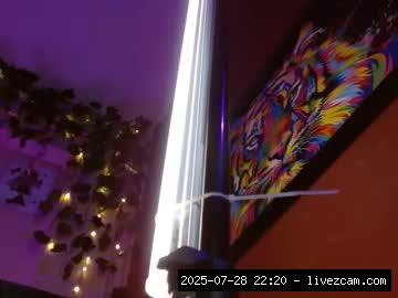 Anal Webcams Live, Squirt, Dp, Anal, Milk, Lovense.